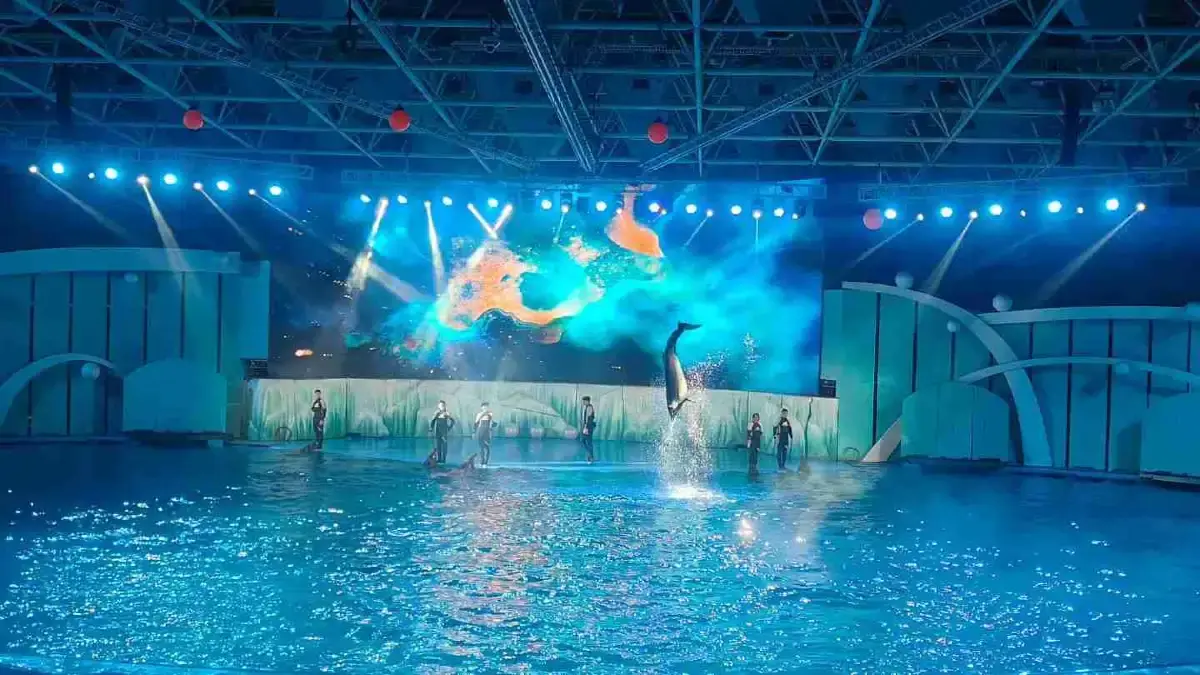Qingdao Polar Ocean World Itineraries: Half-Day, Full-Day & Family Day Plans