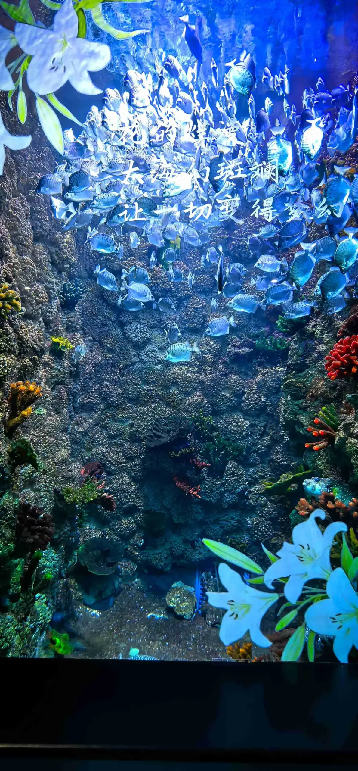 Qingdao Polar Ocean World — polar ocean theme park in Qingdao